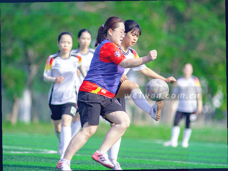 体育数据趋势图，背景为体育场